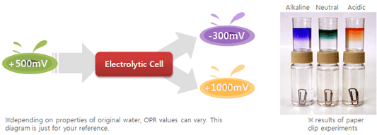 alkaline water health benefits