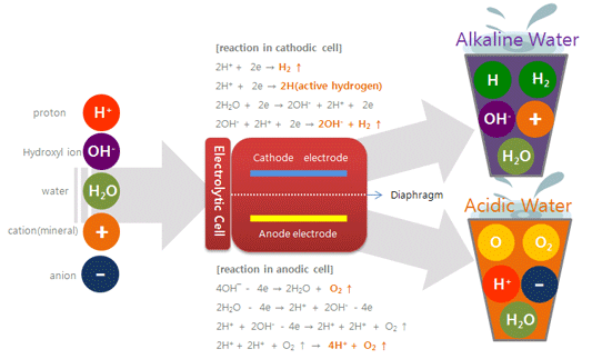 principles of electrolized water